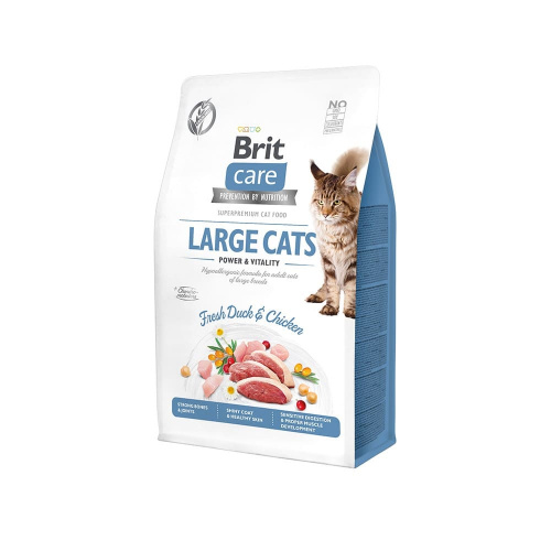 BritCare Cat Large cats P&V2kg